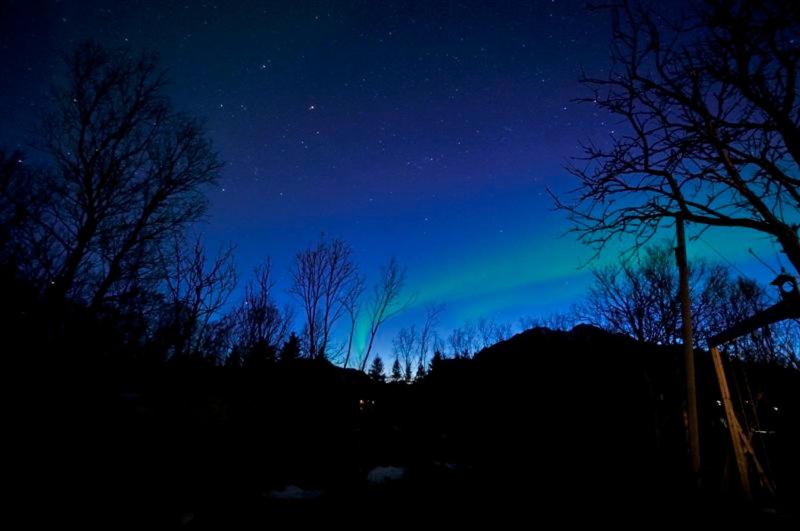Holiday Home Lofoten photo 2