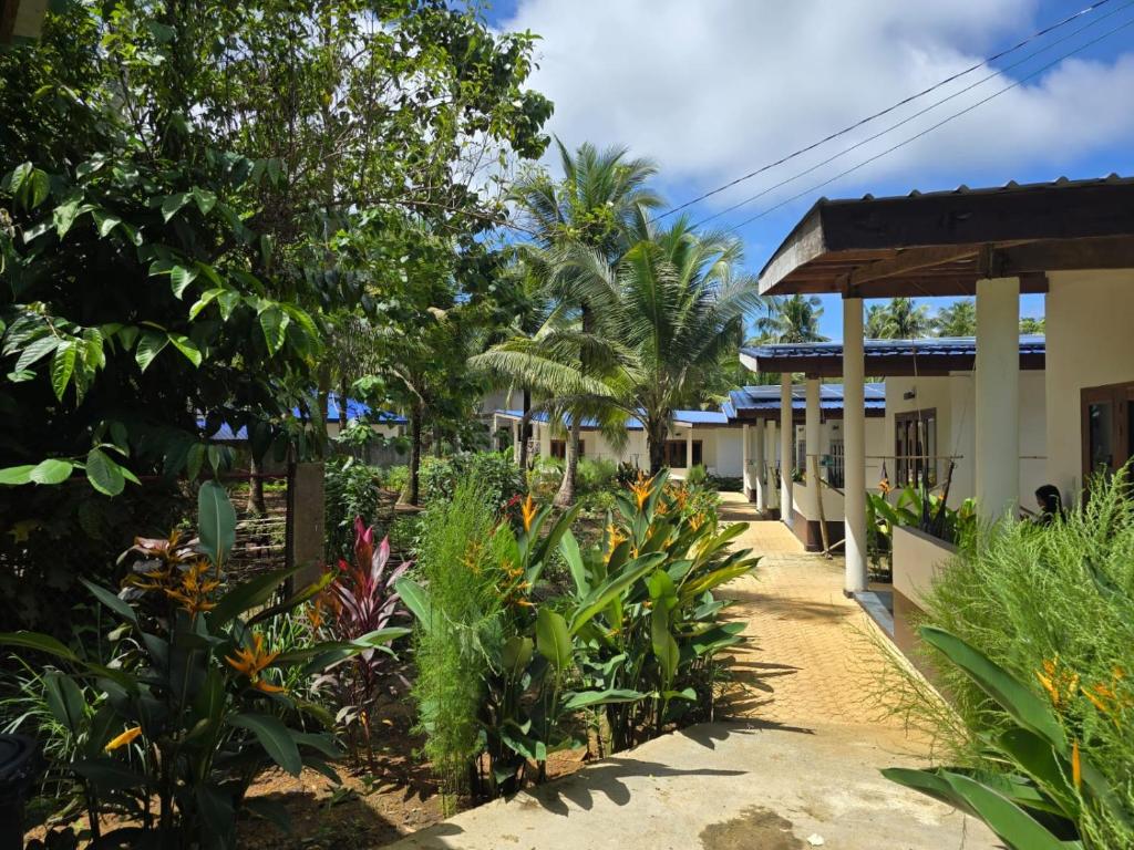 Roxy Cabanas, Siargao
