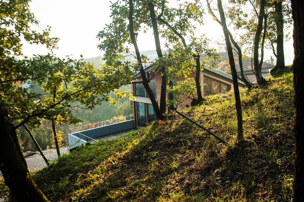 Apartment Oton Reya photo 1
