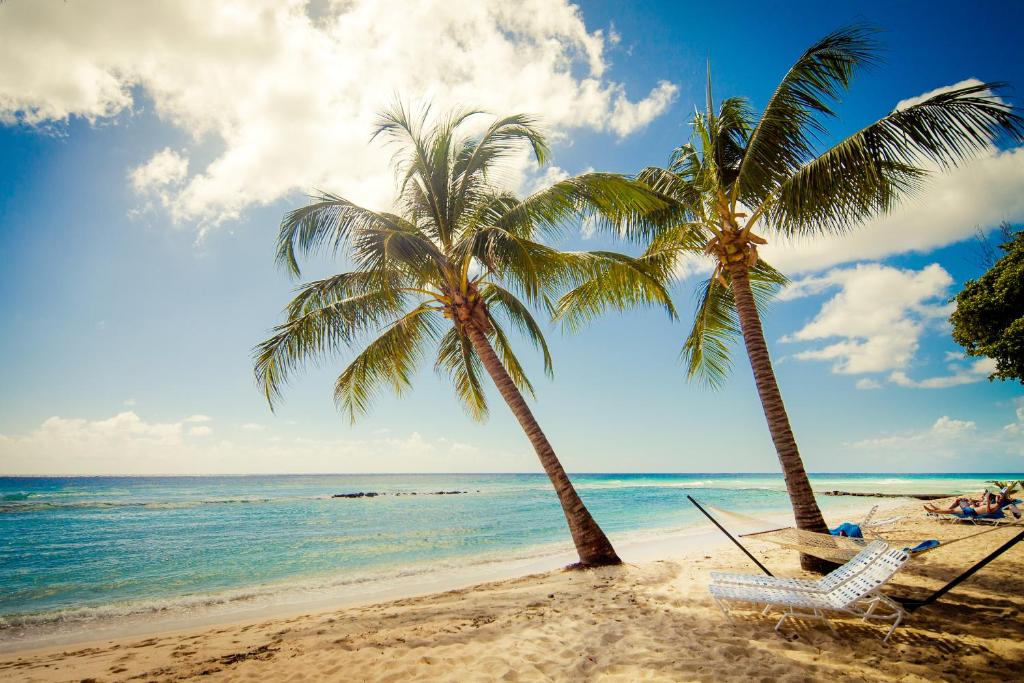 Sugar Bay Barbados - All Inclusive photo 2