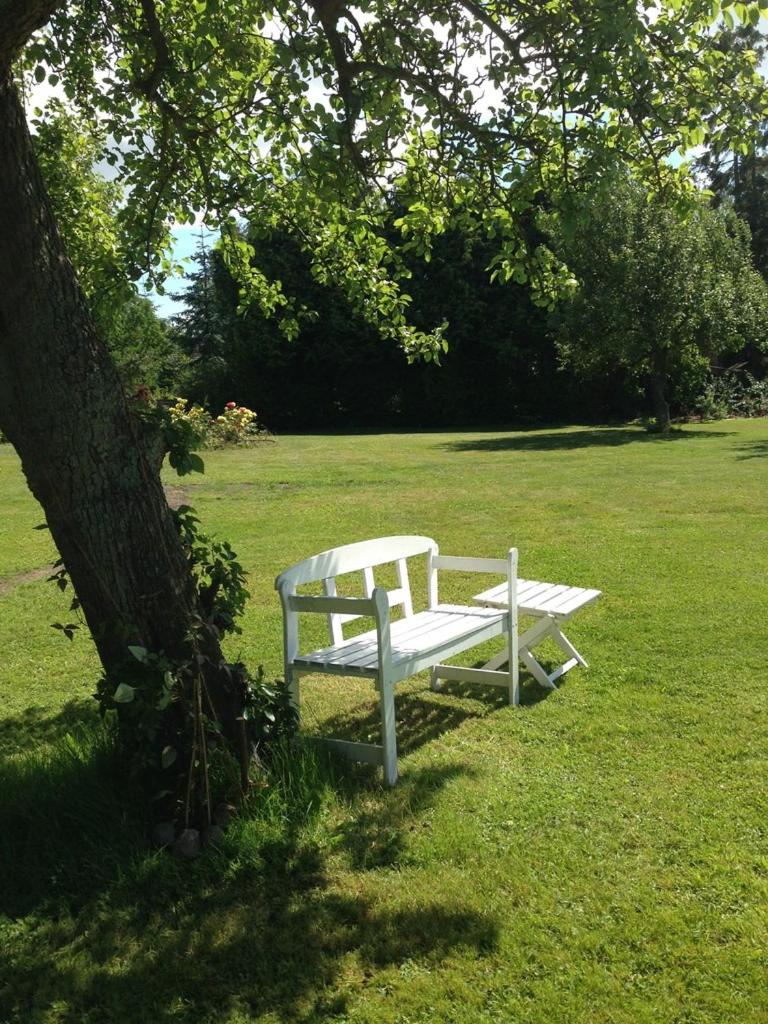 Haus Buddenbrock auf Rügen photo 2