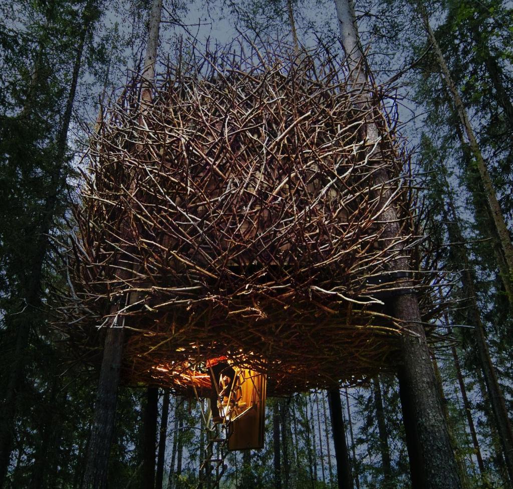 Treehotel - Tap to explore photos