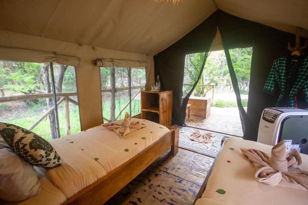 Africa Safari Selous Camping - Tap to explore photos