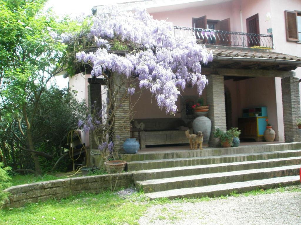 L'Oasi di Aaron photo 1