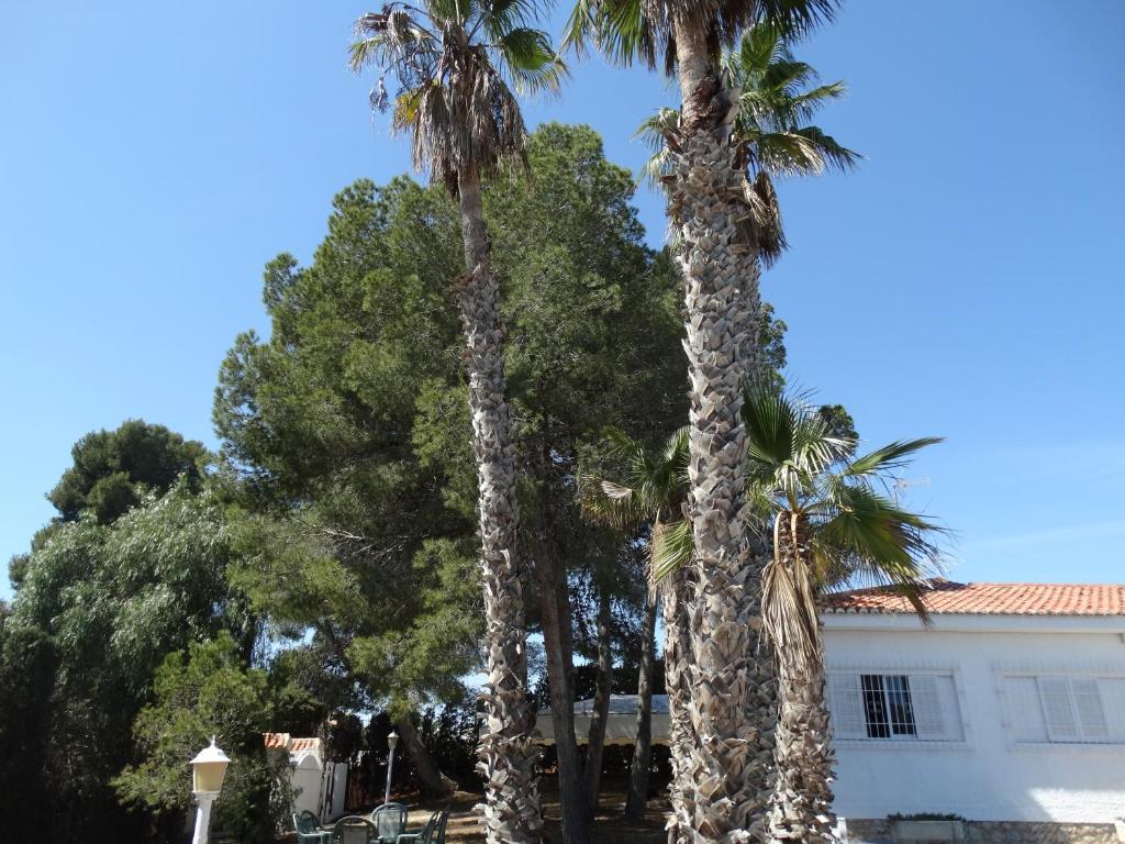 La casa de Mary photo 2