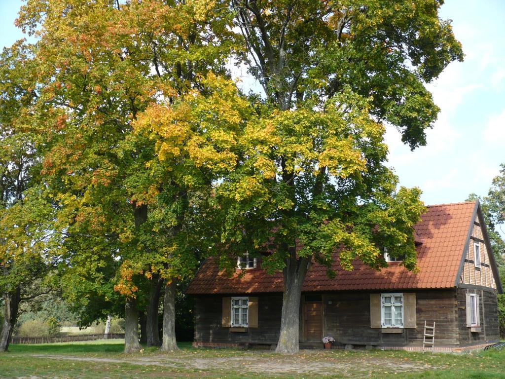 Leśne Apartamenty w Borach Tucholskich photo 1