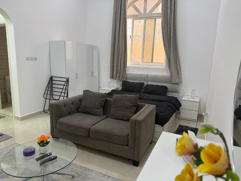 Spacious studio 30 min from yas island and airport Room Type - One-Bedroom Apartment