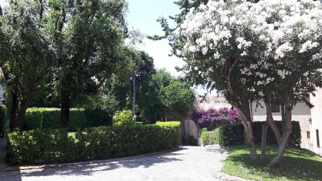 Apartment in a 16th Century Fortress in Tuscany photo 3