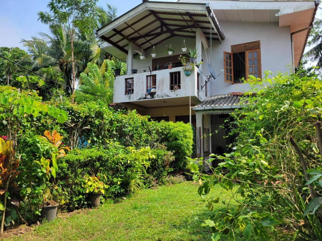 Green House No 02