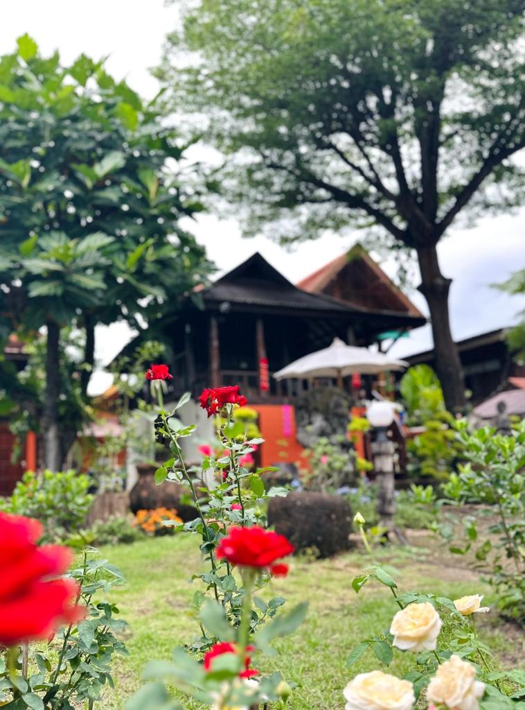 Thai Tom s GuestHouse Room Type - Two-Bedroom Chalet