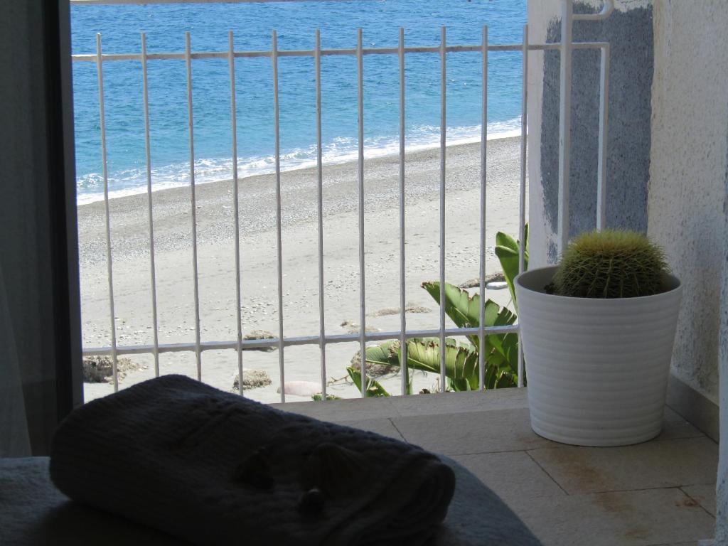 Appartamento mare mare photo 4