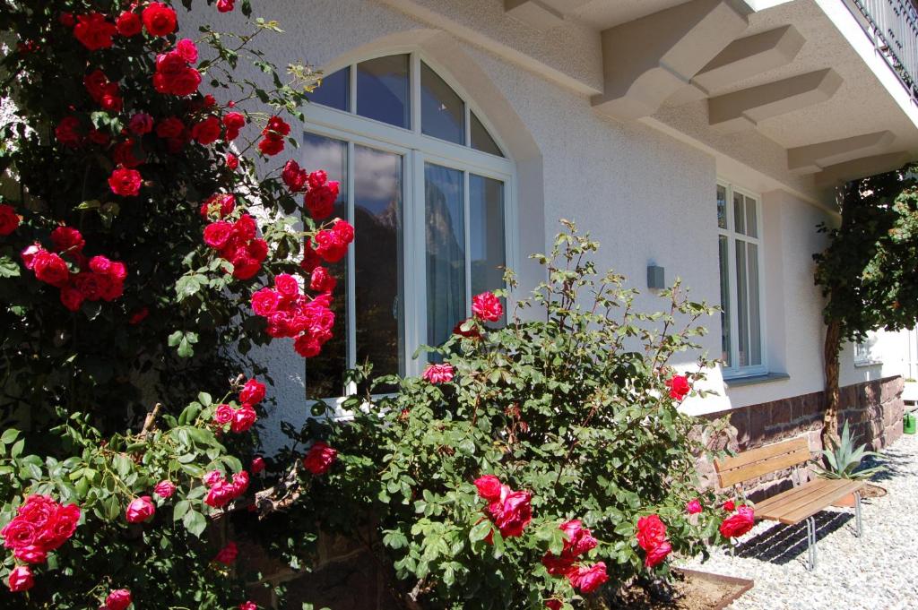 Villa Quenz Family Suites photo 4