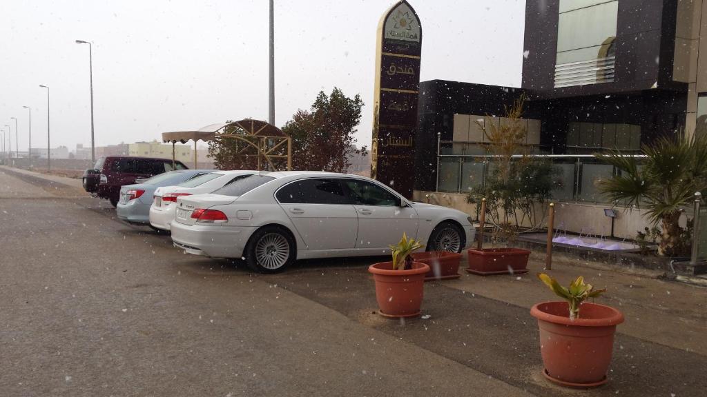Al Bustan Crown Hotel 2 photo 2