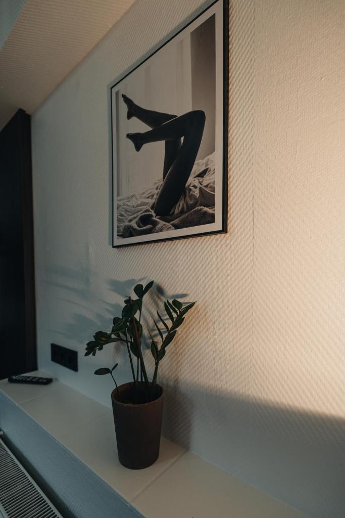 Hotel Latio Room Type - Budget Double or Twin Room