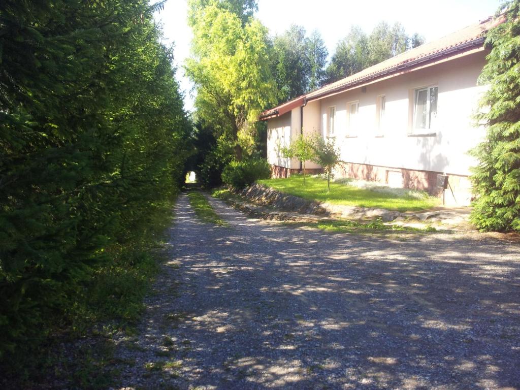 Świerkowe Wzgórze photo 3