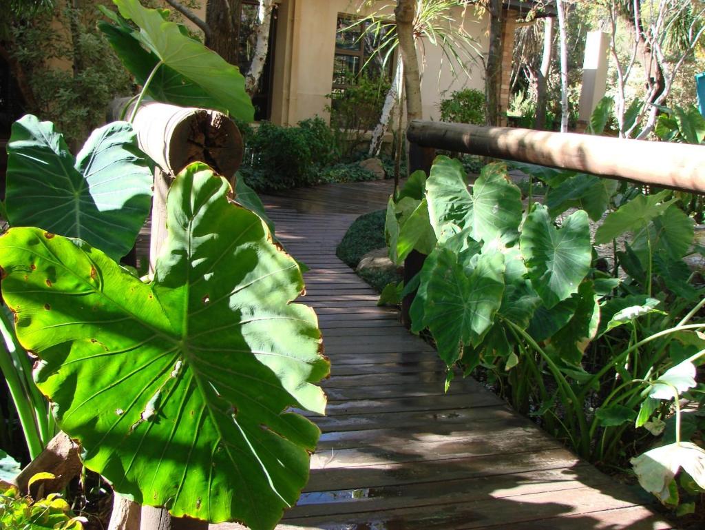 Jedidja Bed and Breakfast photo 4