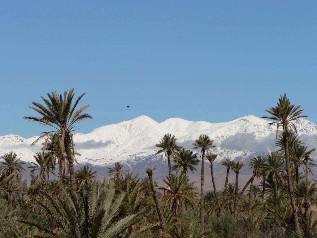 Gite Kasbah La Palmeraie photo 4