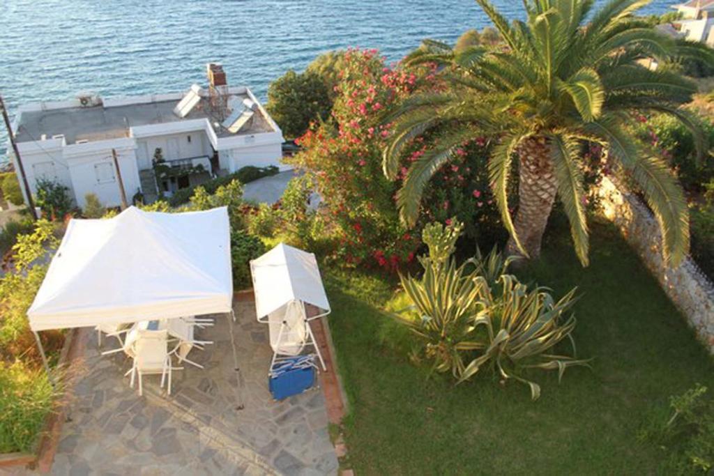 Villa Irini photo 3