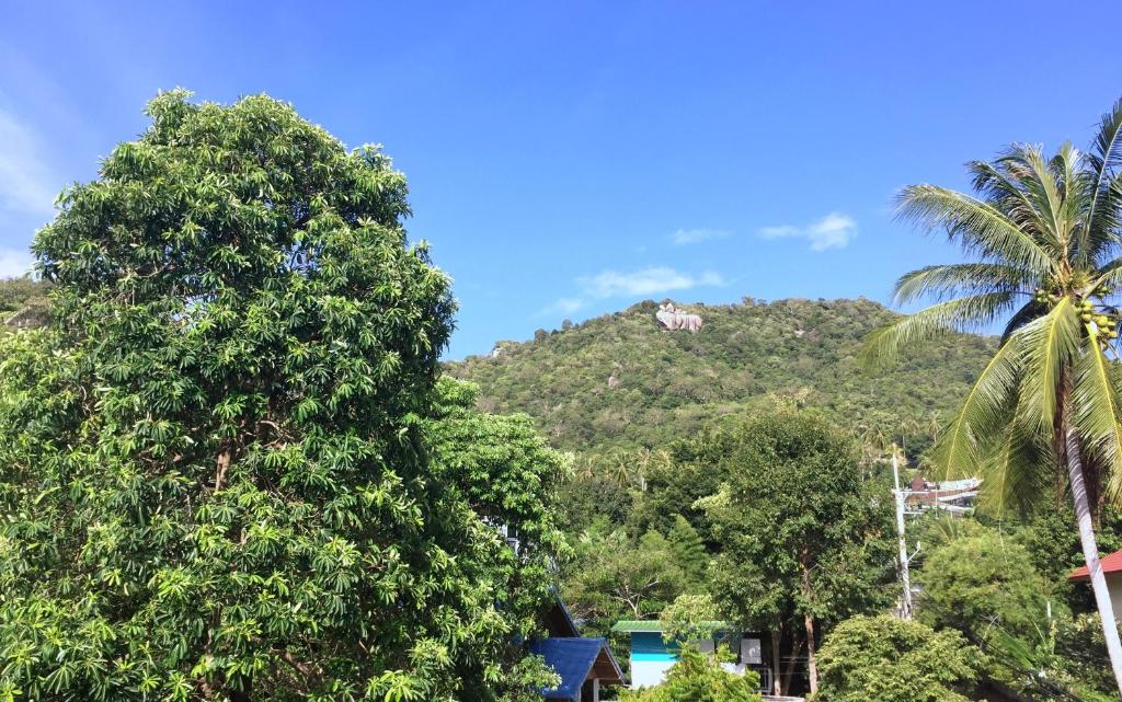 Двухместный (Двухместный номер с 2 отдельными кроватями и балконом), Summer Guesthouse and Hostel