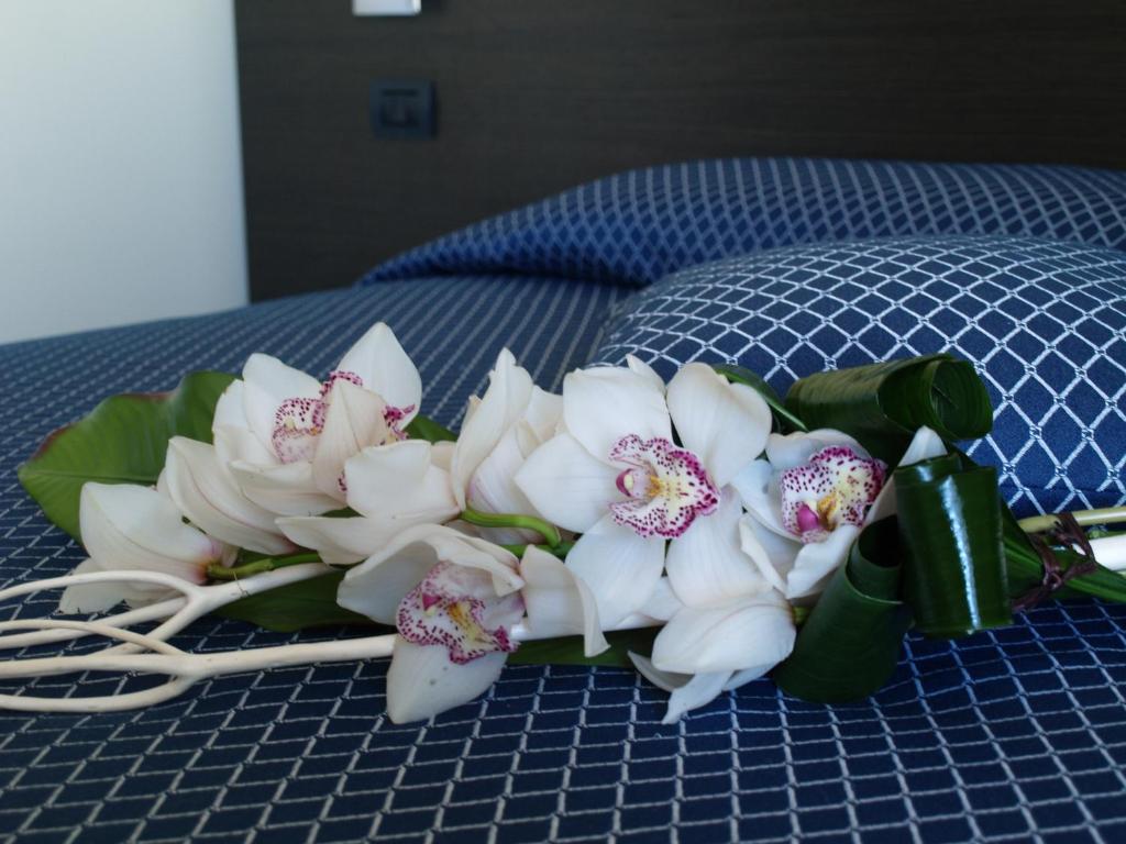 Draconerium Hotel - Tap to explore photos