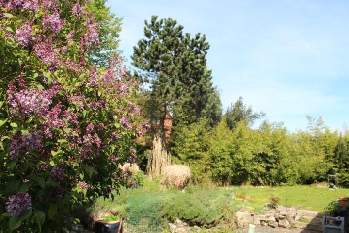 Grange de Pierrot photo 2