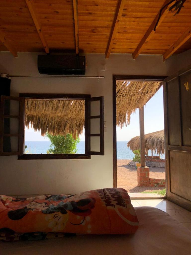 Palm Valley camp