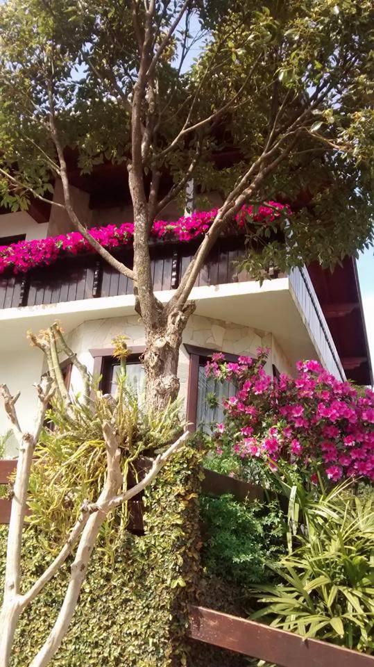 Hospedaria Gãstehaus Enzian photo 3