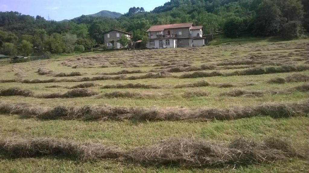 Locanda di Campagna photo 4