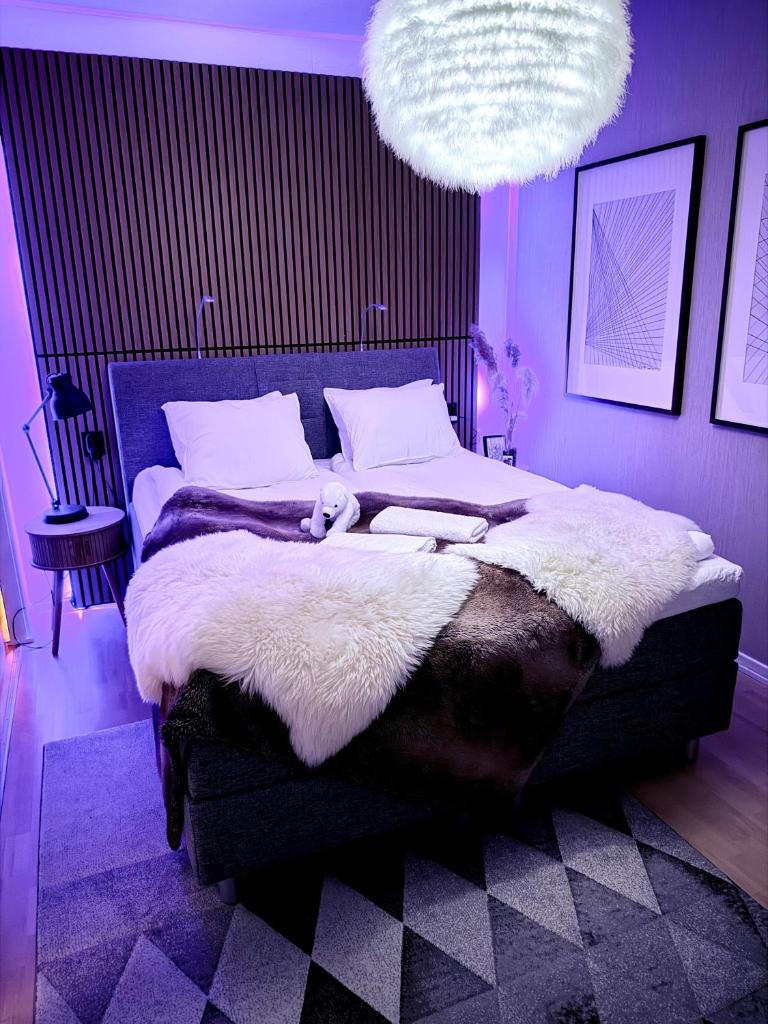 Aurora City penthouse, Enontekio