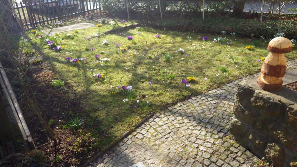Ferienhaus Frieda photo 3