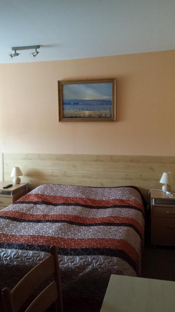Двухместный (Двухместный номер с 1 кроватью), Šolena Hotel