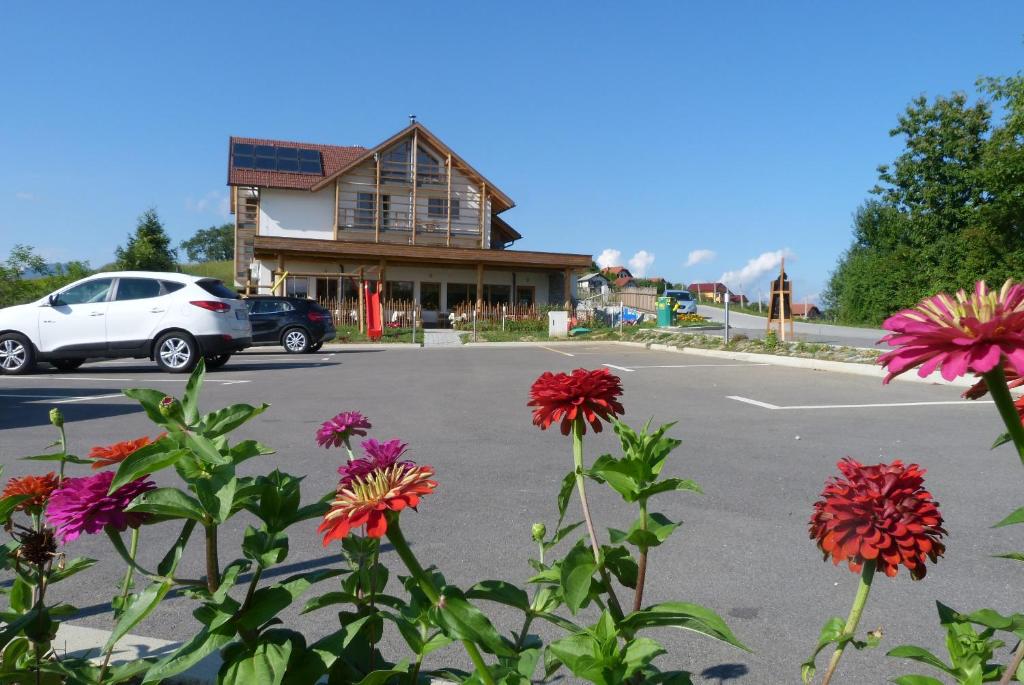 Guest House Eco Vila Mila photo 2