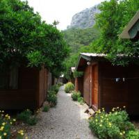 Olympos Doga Pansiyon photo 1