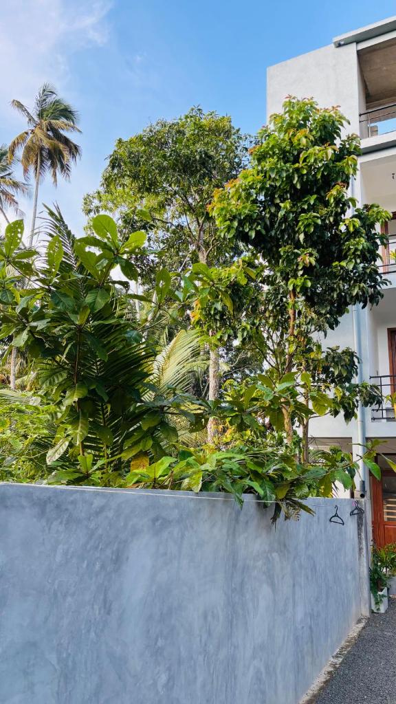 Jungle Edge villa Weligama - Tap to explore photos
