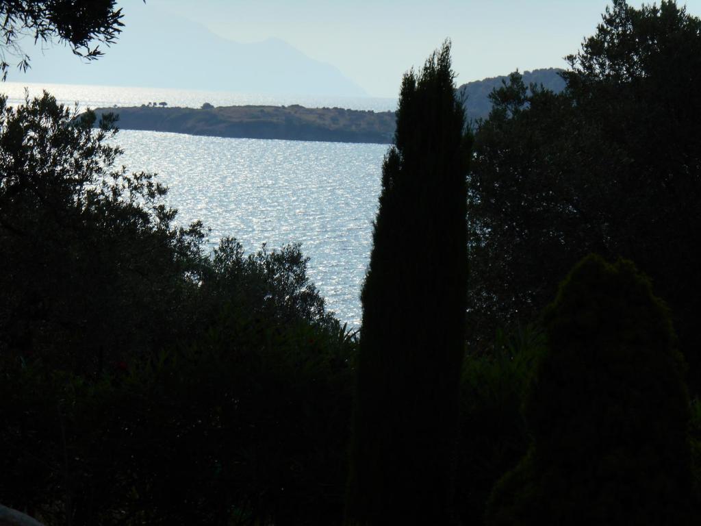 Heliactida House photo 1