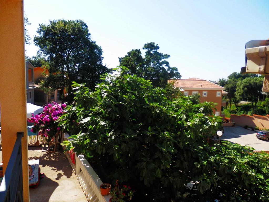 Apartments Esperanza photo 1