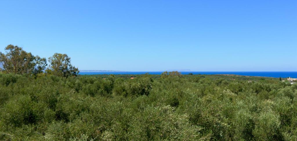 Villa Arsinoi photo 4