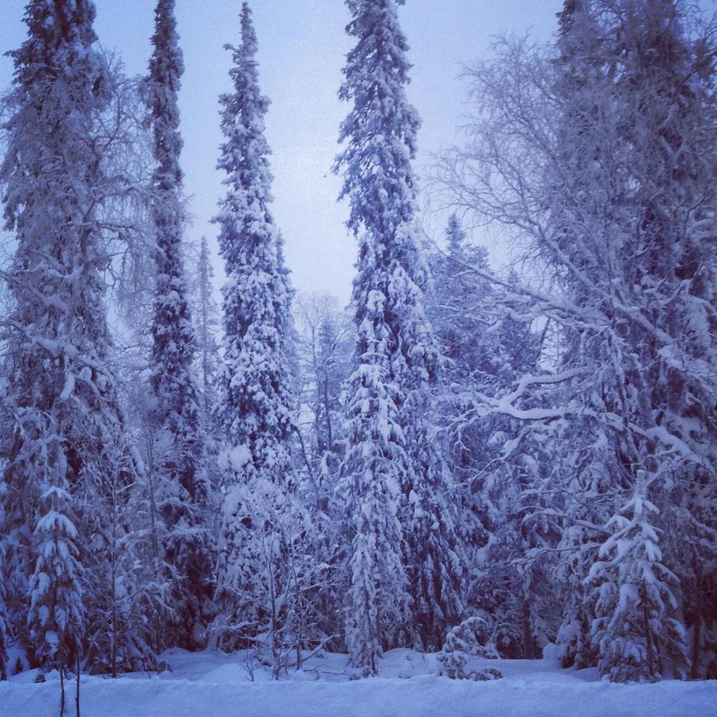 Villa Kuukkeli photo 2