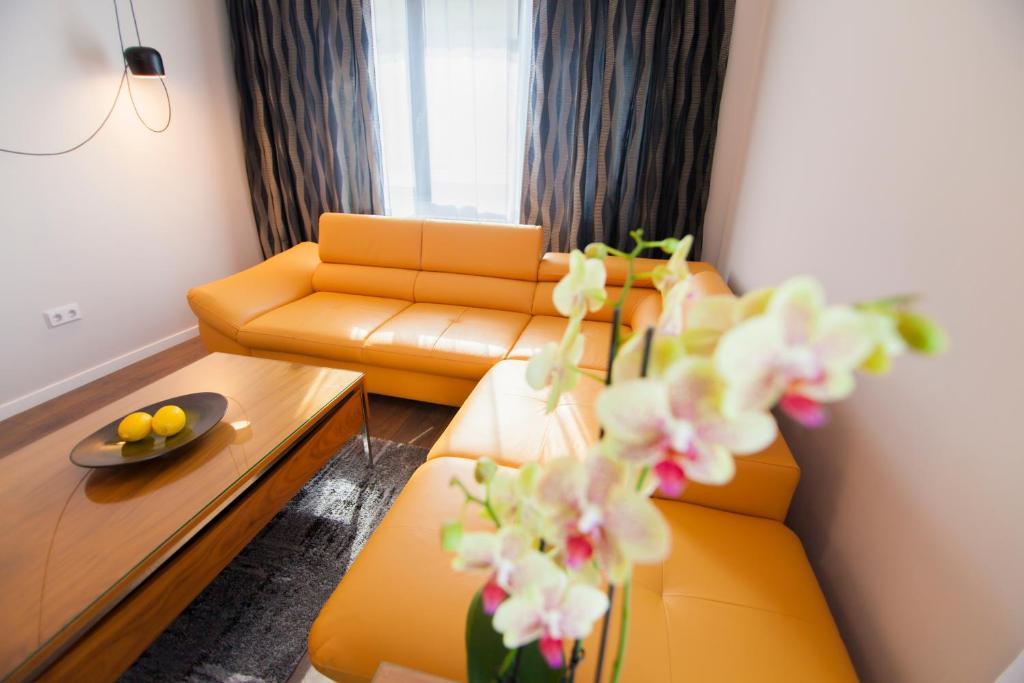 Cluj Business Class - Tap to explore photos