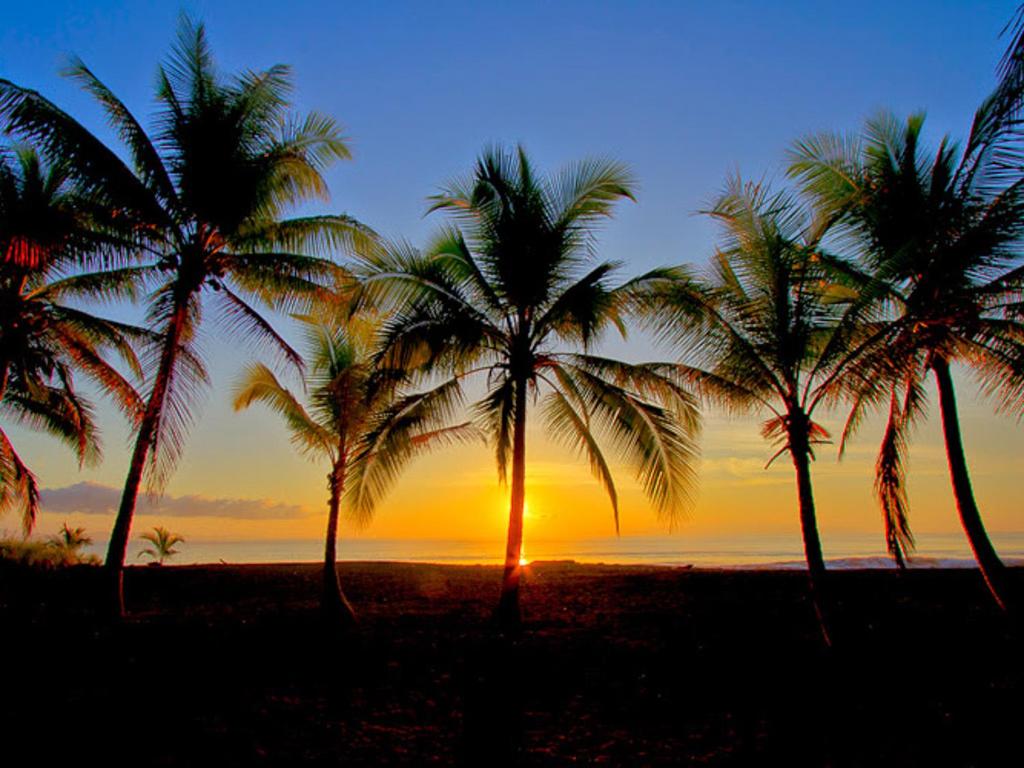 Iguana Lodge Beach Resort and Spa photo 4