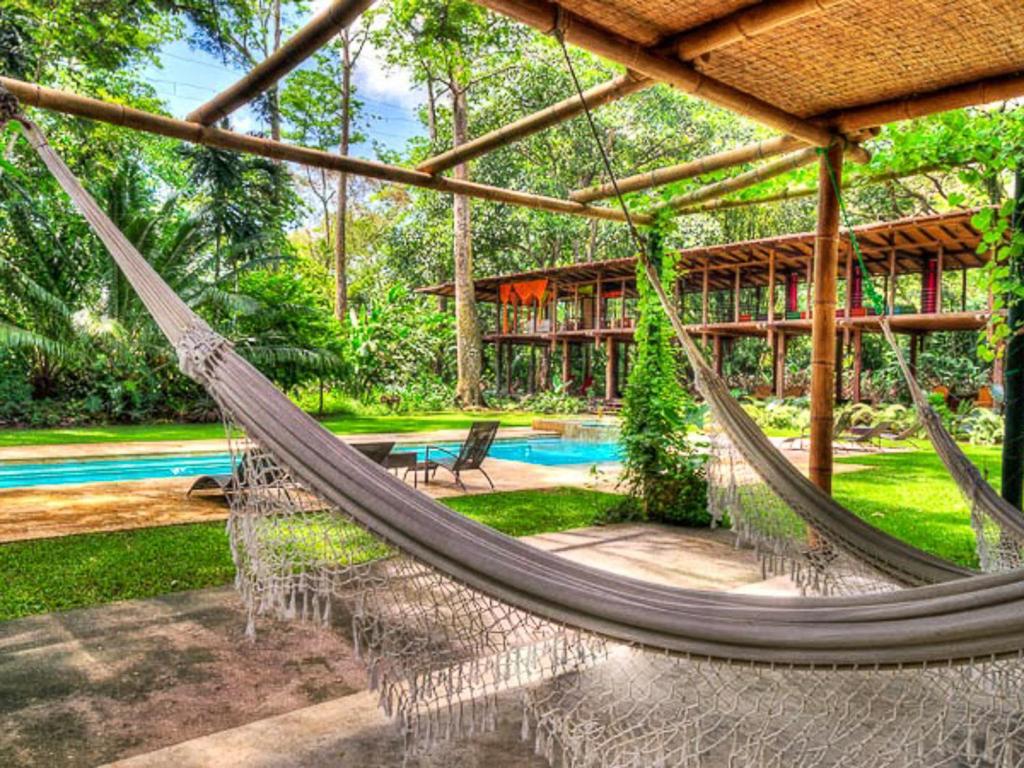 Iguana Lodge Beach Resort and Spa photo 2