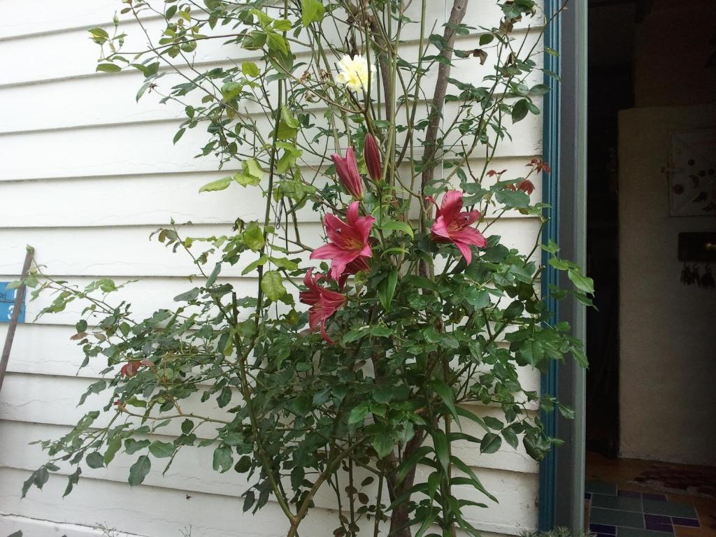 Annehelenes B&B photo 4