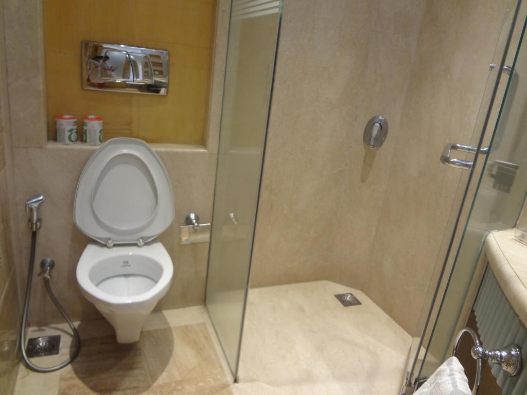 Двухместный (Двухместный номер Делюкс с 1 кроватью), Ascot Hotel