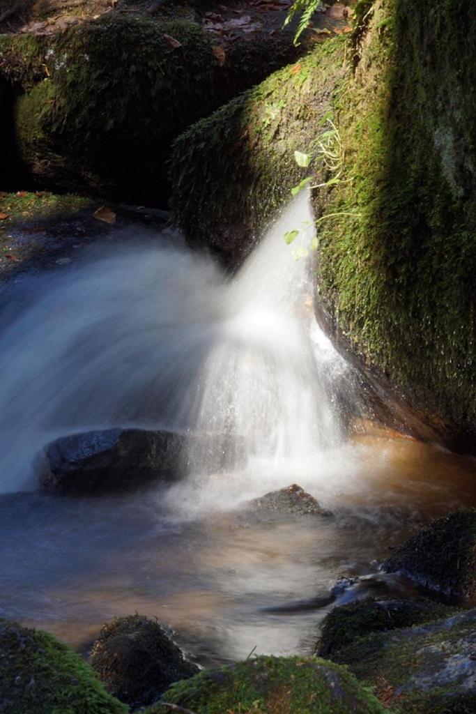 Panoramablick Höllbachtal photo 4