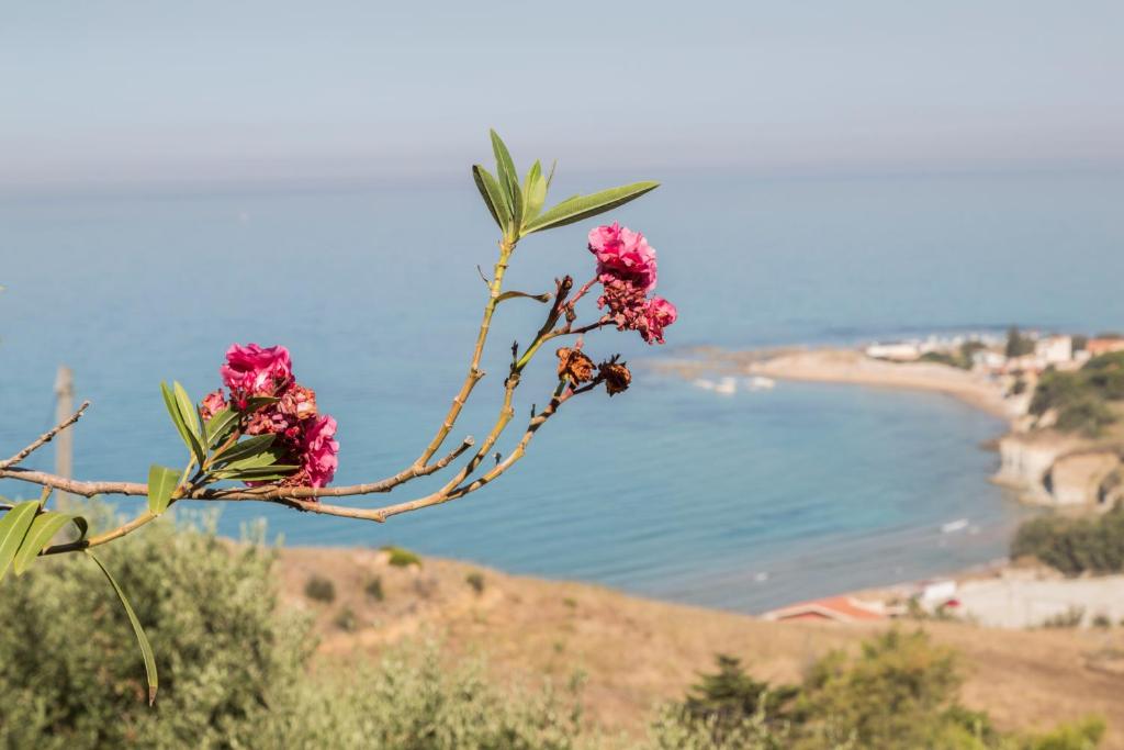B&B Monterosso photo 4
