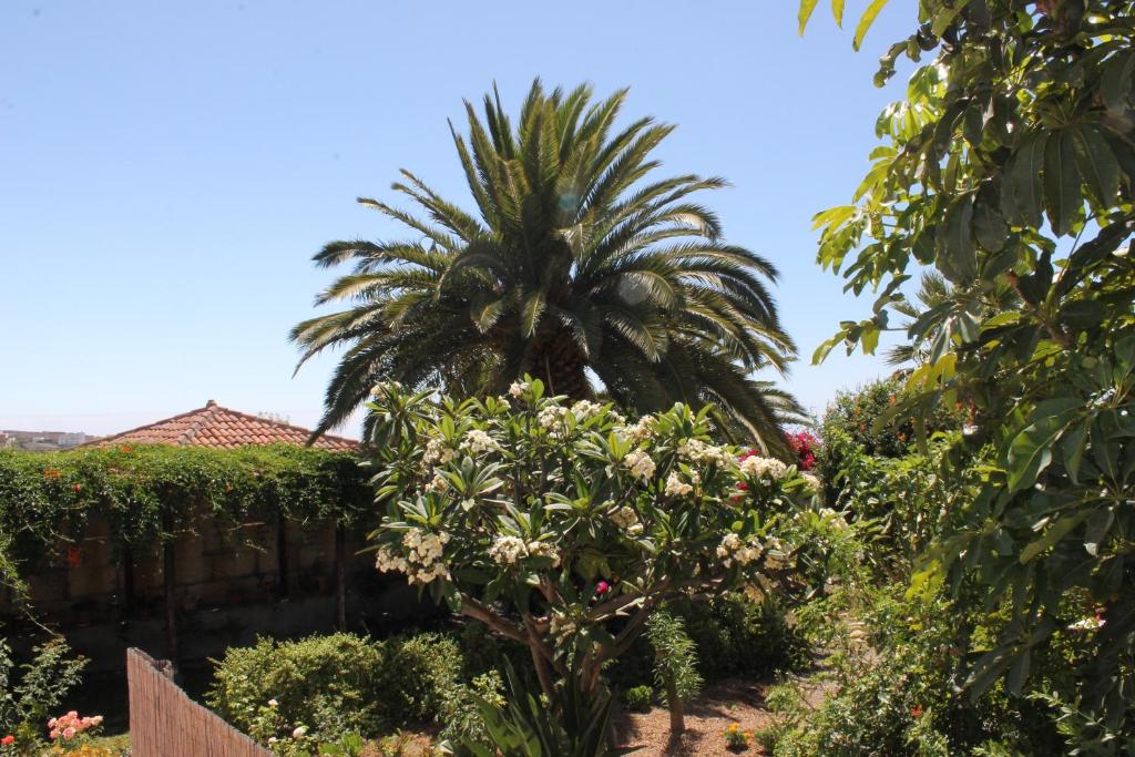 Casa Rural Anton Piche photo 4