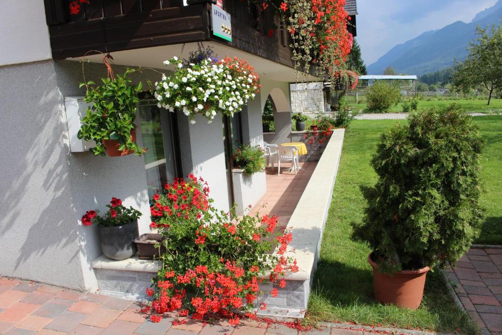 Apartma Maržič photo 2