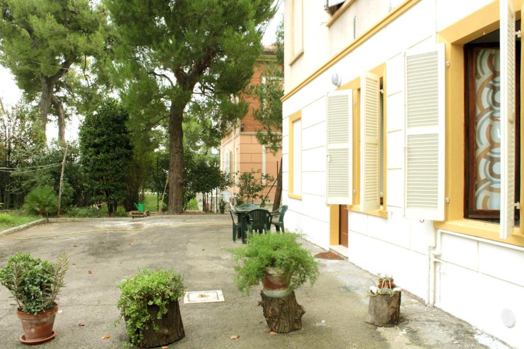 Pino Marittimo photo 2