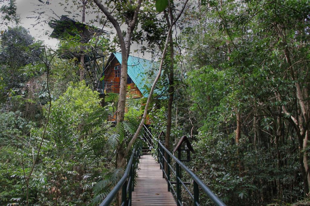 Семейный (Семейный номер), Khaosok Treehouse Resort