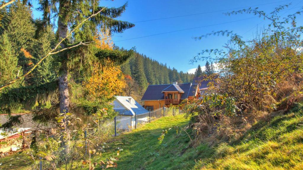 Sadyba Karpaty photo 4